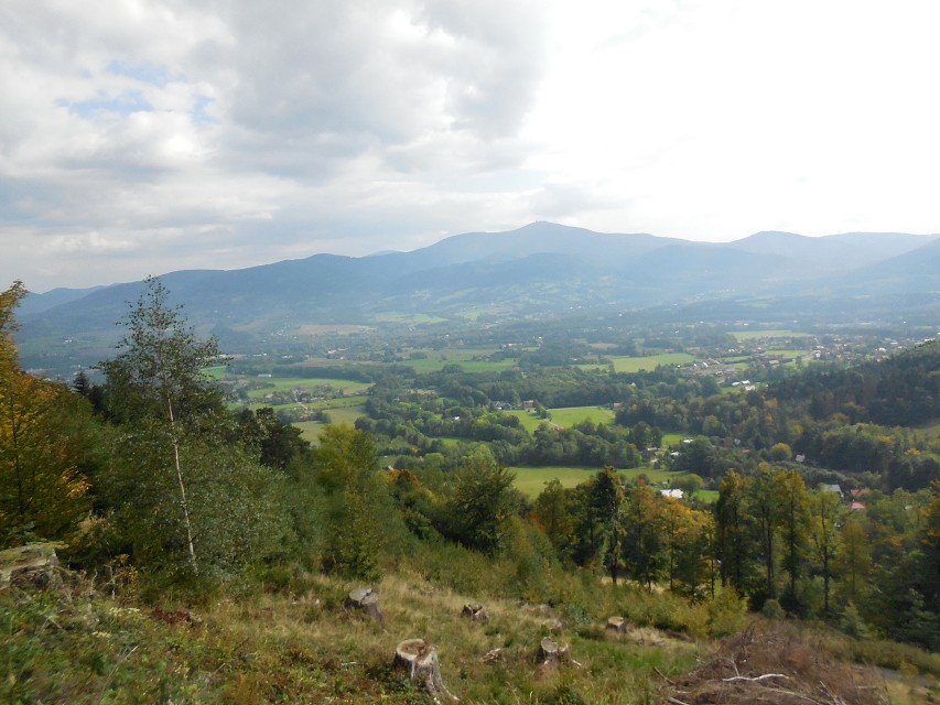img00020.jpg
