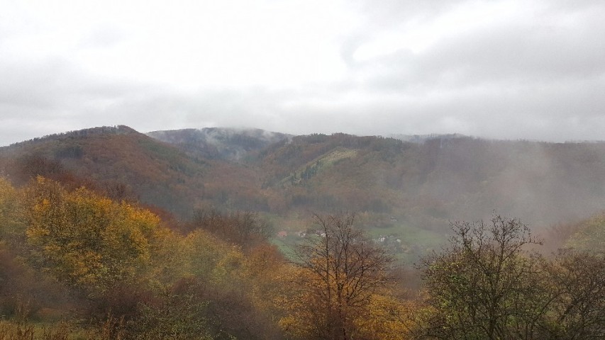 img00008.jpg