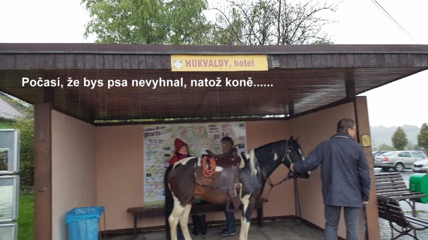img00009.jpg