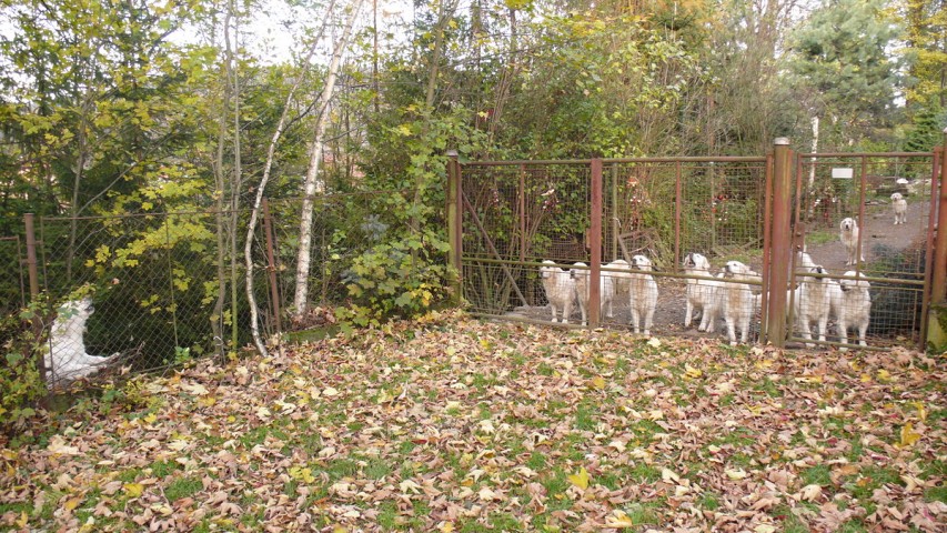 img00002.jpg