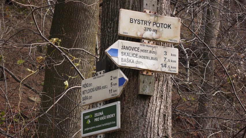img00005.jpg