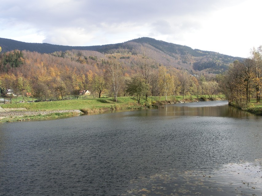 img00017.jpg