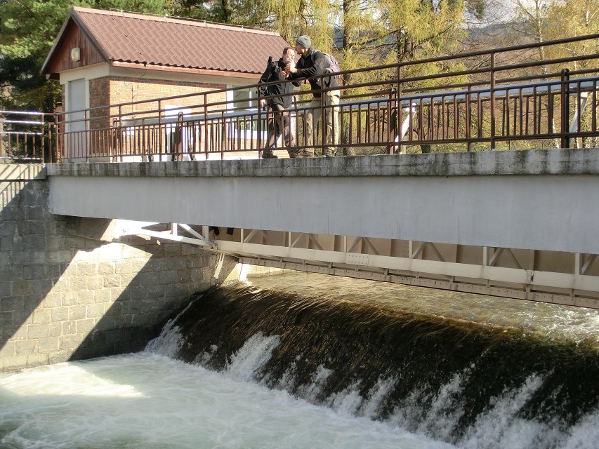 img00019.jpg