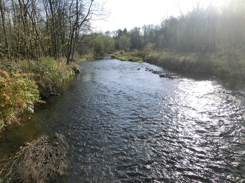 img00027.jpg