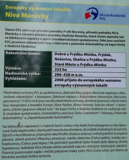 img00029.jpg