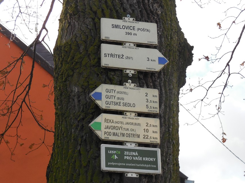 img00006.jpg