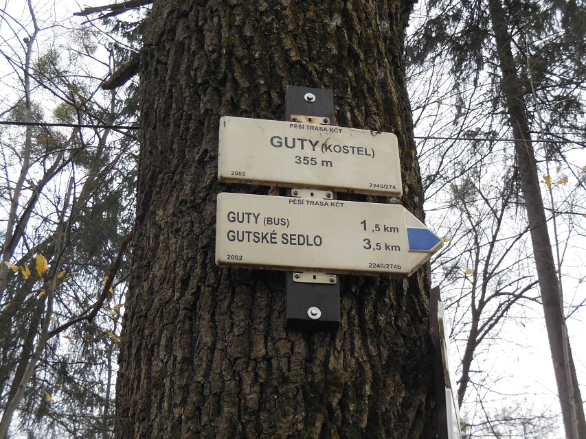 img00011.jpg