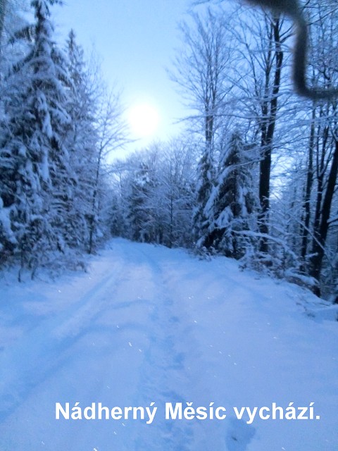 img00005.jpg