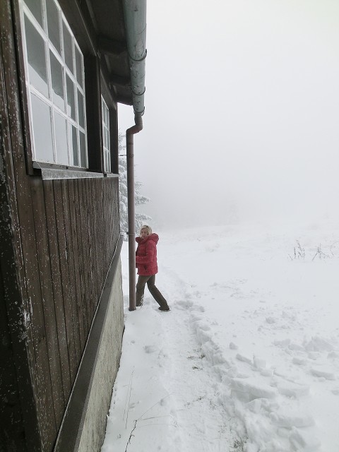 img00012.jpg