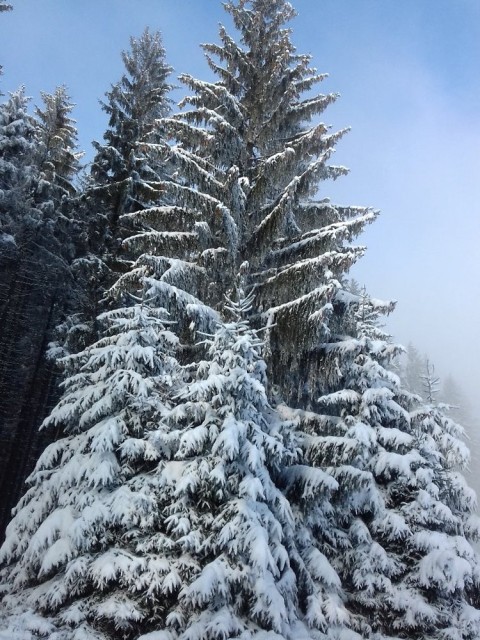 img00017.jpg