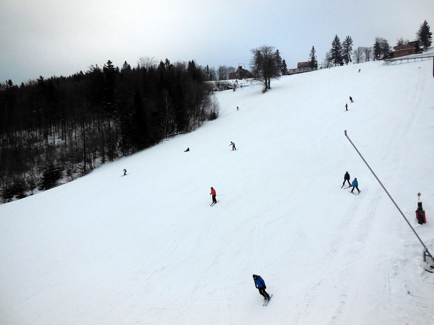 img00006.jpg