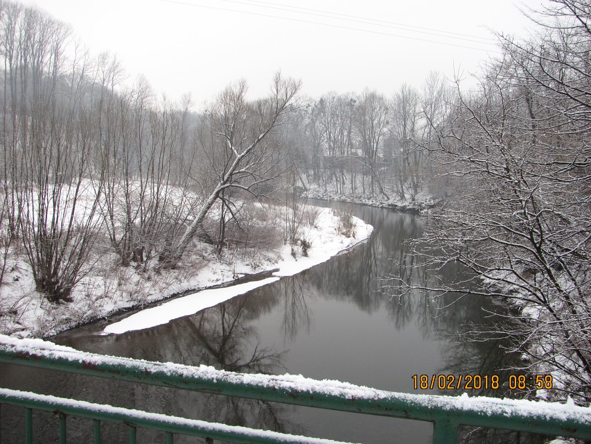 img00003.jpg