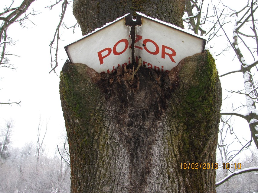 img00010.jpg