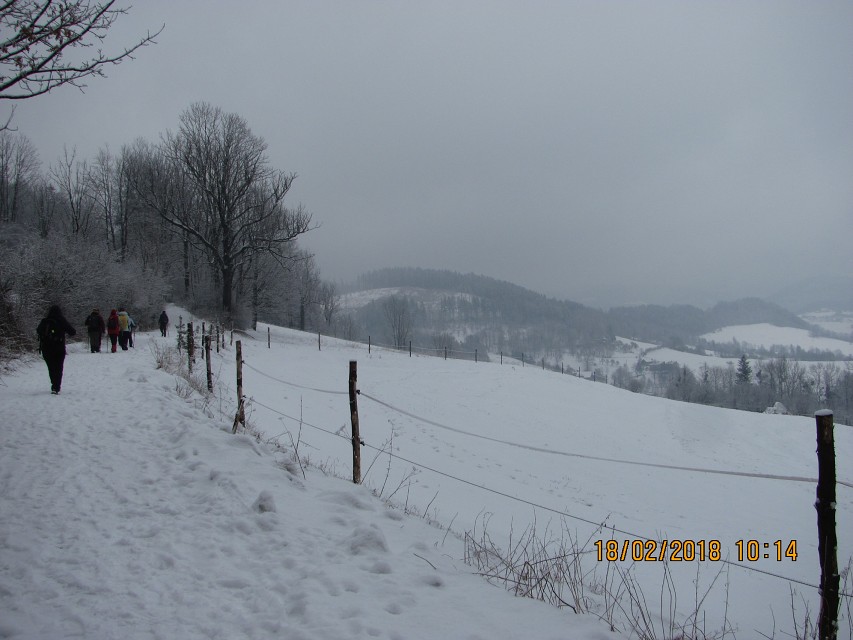 img00014.jpg