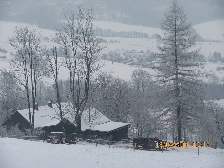 img00015.jpg