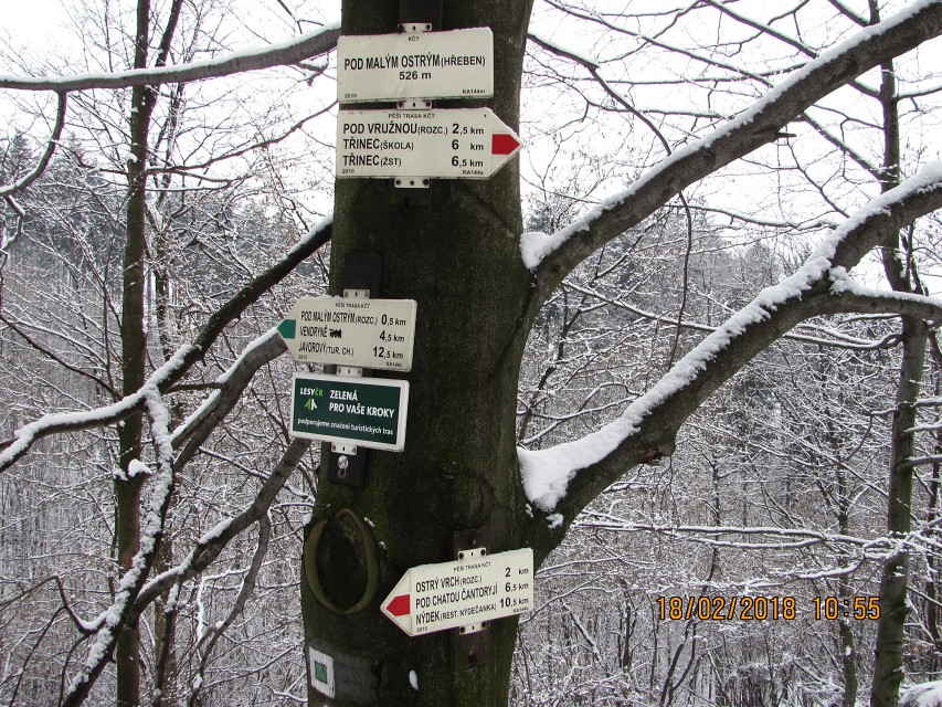 img00020.jpg