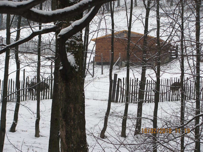 img00024.jpg