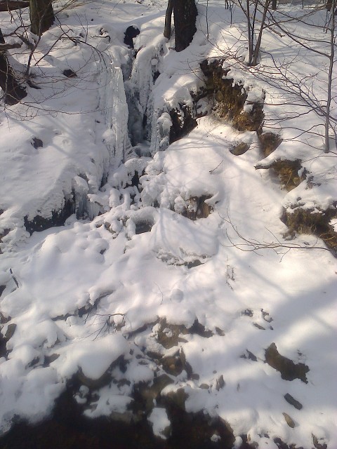 img00003.jpg