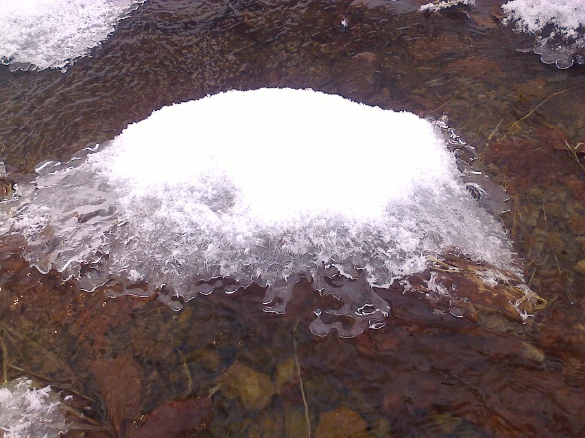 img00005.jpg