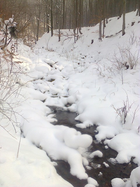 img00006.jpg