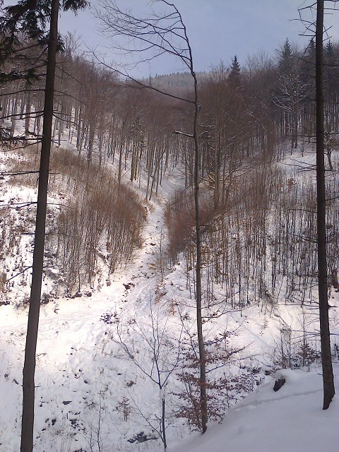 img00007.jpg