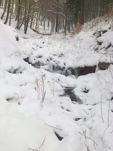 img00010.jpg