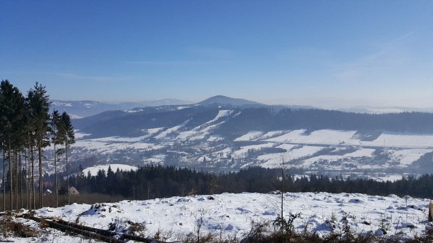 img00002.jpg