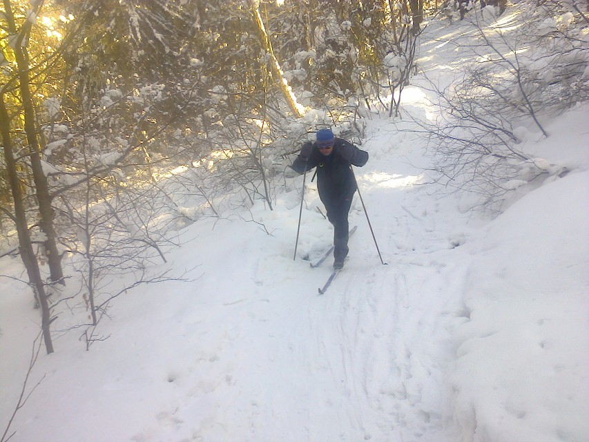 img00010.jpg