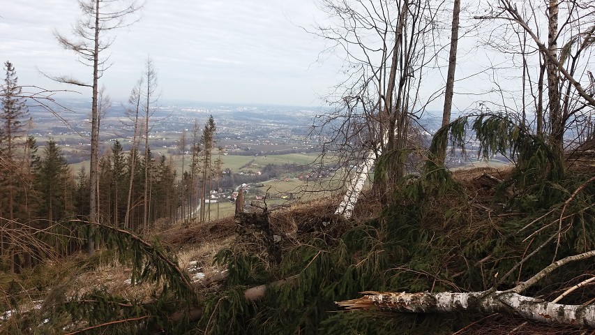 img00008.jpg