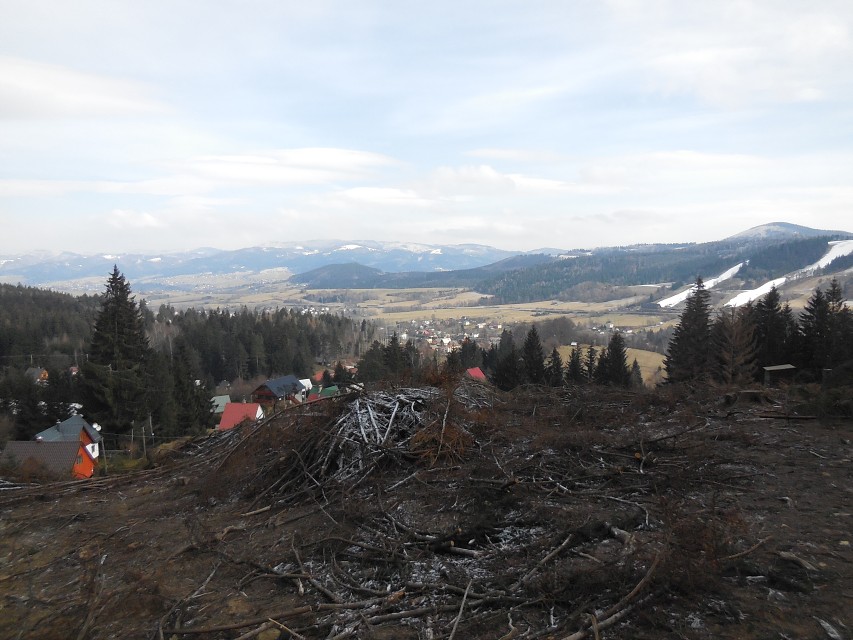 img00005.jpg