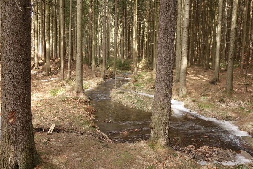 img00013.jpg