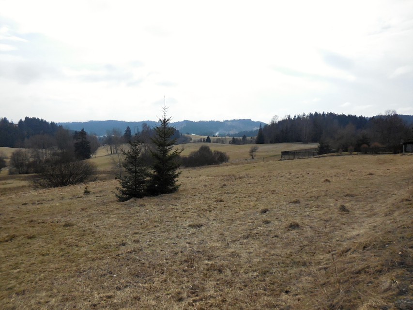 img00017.jpg