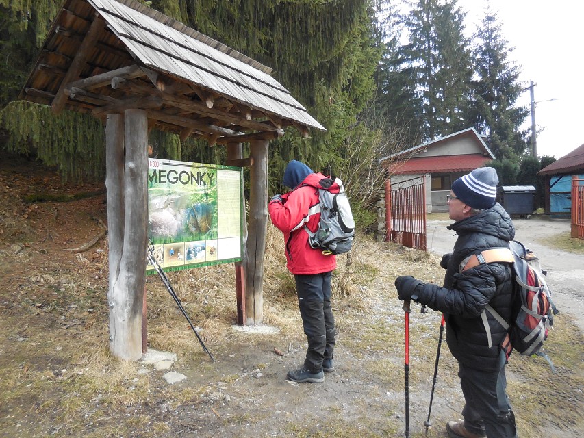 img00019.jpg