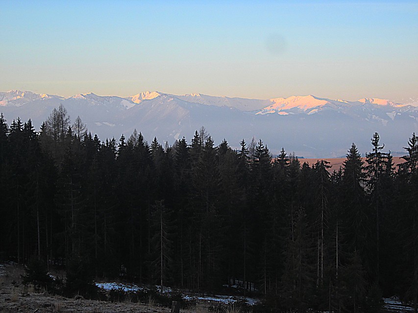 img00004.jpg