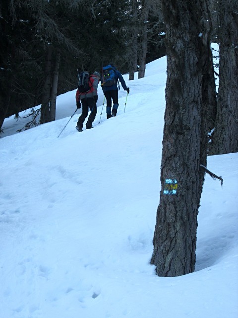 img00005.jpg