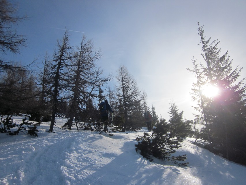 img00006.jpg
