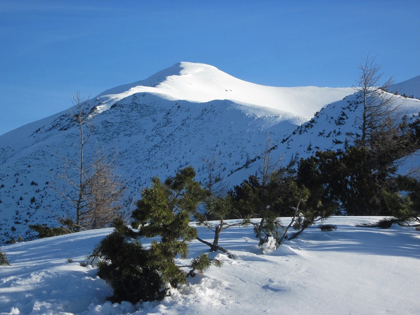 img00007.jpg