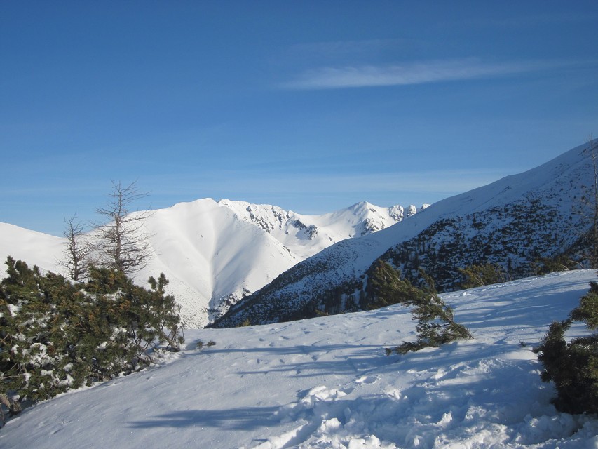 img00008.jpg