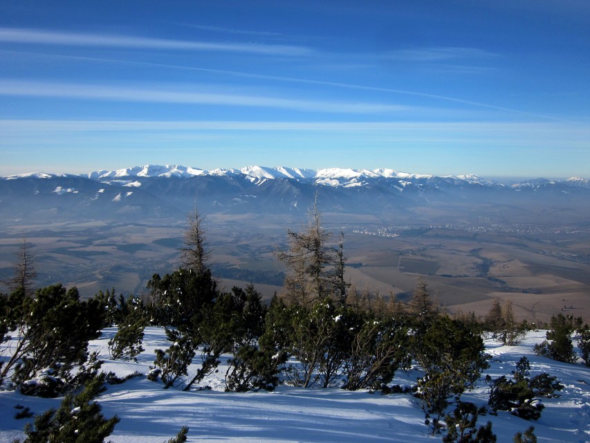 img00009.jpg