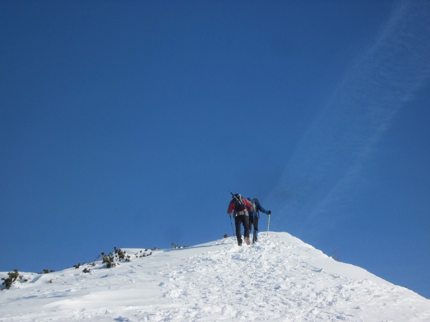 img00012.jpg