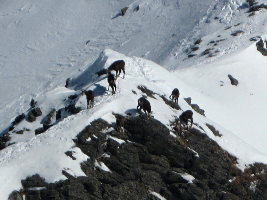 img00030.jpg