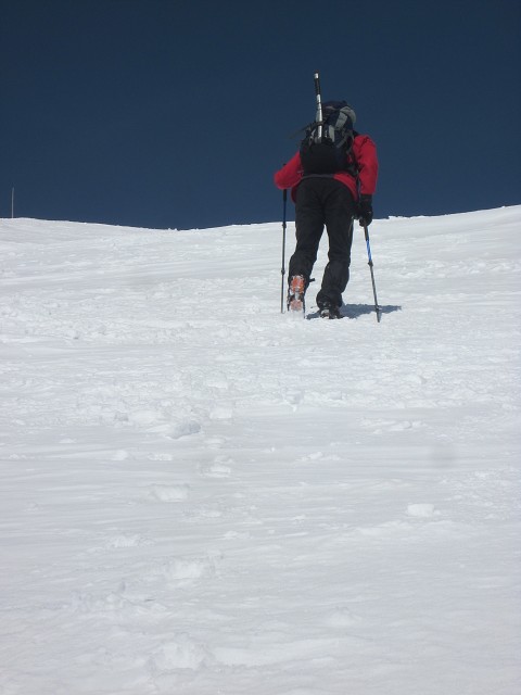 img00042.jpg