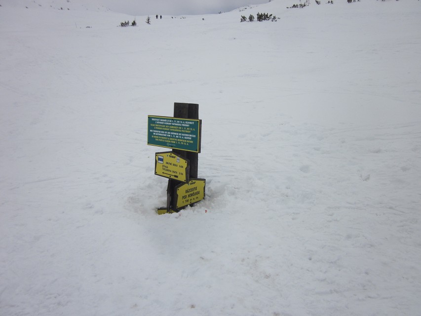 img00049.jpg