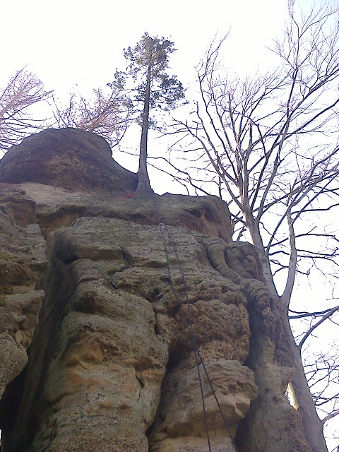 img00009.jpg