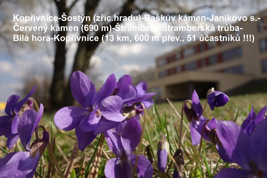 img00001.jpg