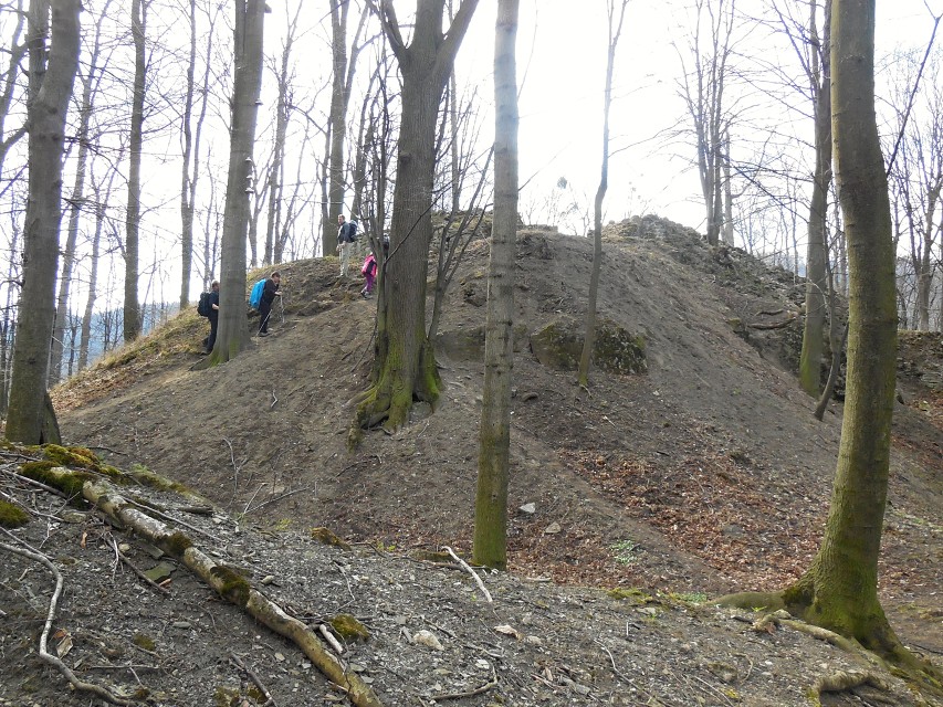 img00013.jpg