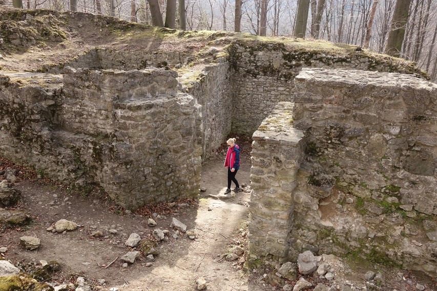 img00015.jpg