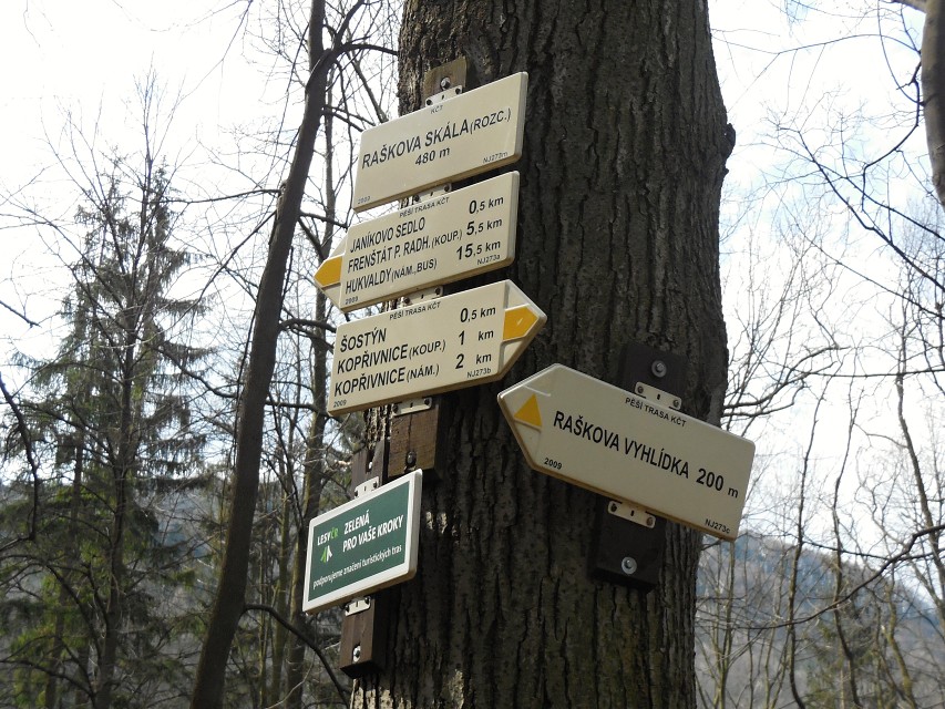 img00017.jpg