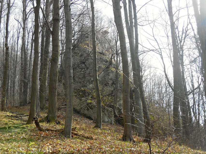 img00018.jpg