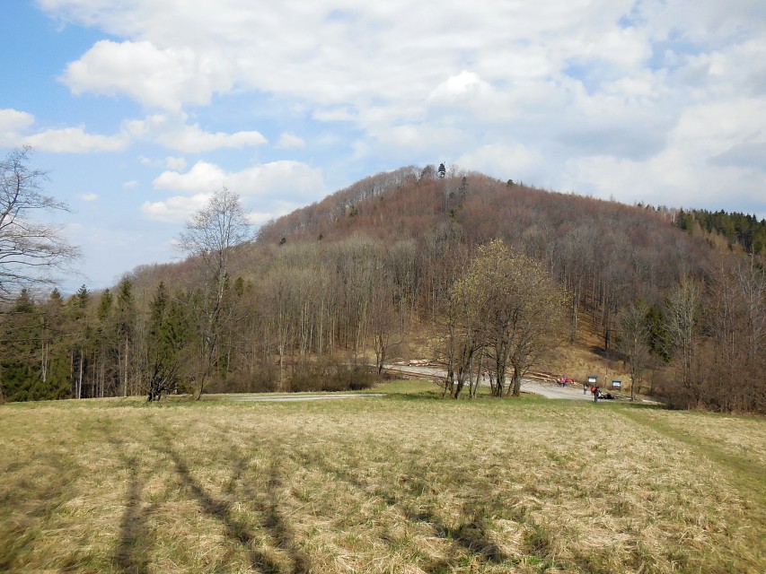 img00026.jpg